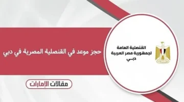 تكنولوجيا الخدمات الرقمية تغير جذريًا طريقة إنجاز المعاملات القنصلية وتسهل الإجراءات للمواطنين